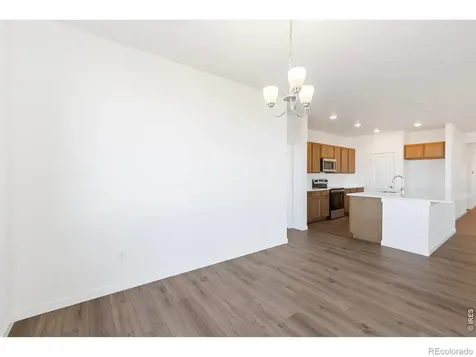 1454 Boyle Street Windsor CO 80550