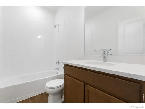 1454 Boyle Street Windsor CO 80550