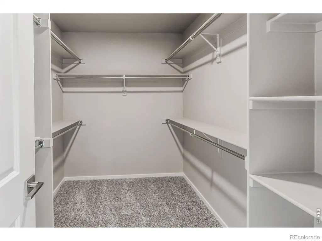 4916 Autumn Leaf Drive Timnath CO 80547