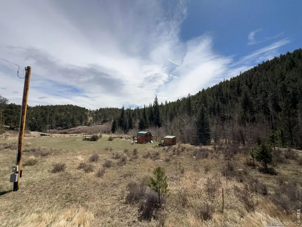 528 Lone Pine Lake Drive Red Feather Lakes CO 80545