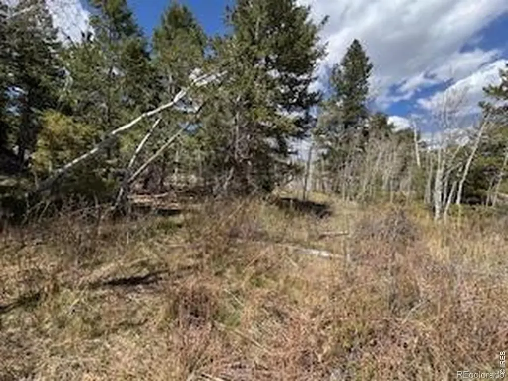 400 Fox Acres Drive W Red Feather Lakes CO 80545