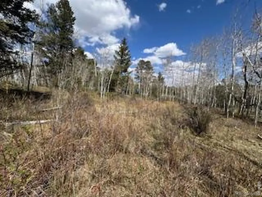 400 Fox Acres Drive W Red Feather Lakes CO 80545