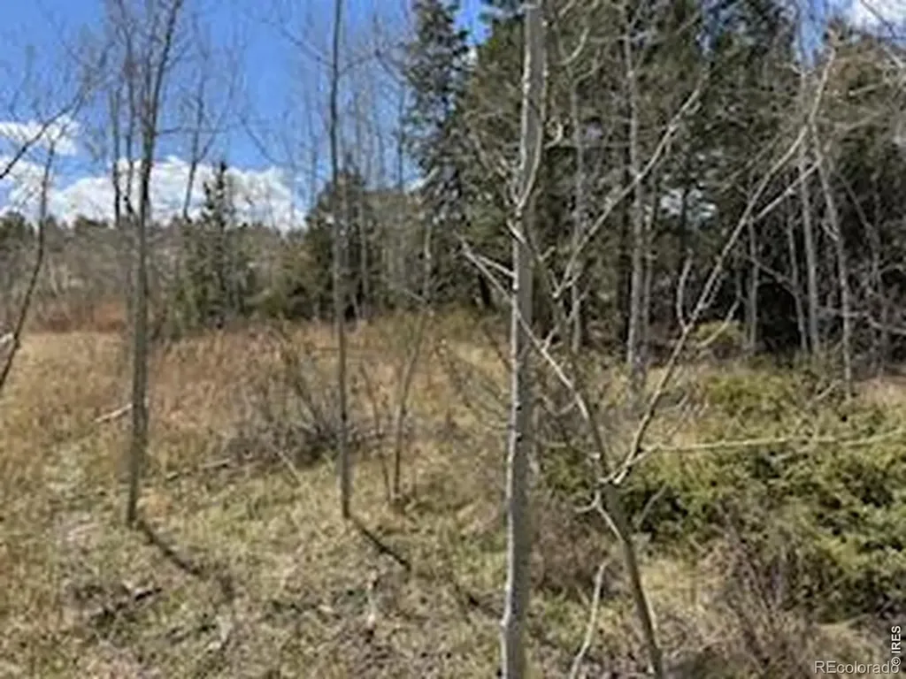 400 Fox Acres Drive W Red Feather Lakes CO 80545