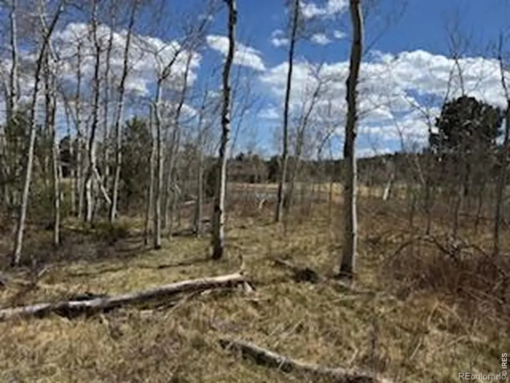 400 Fox Acres Drive W Red Feather Lakes CO 80545
