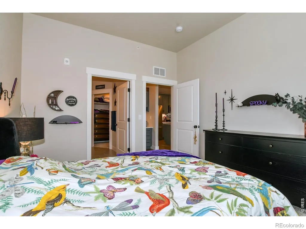 3425 Triano Creek Drive Loveland CO 80538