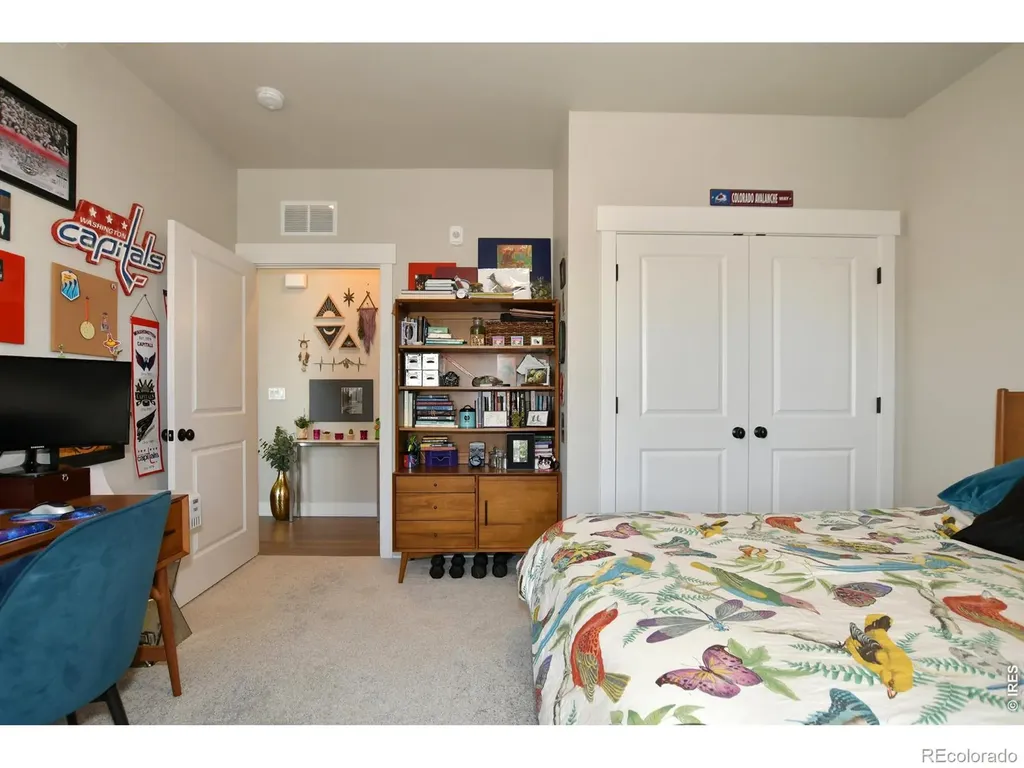 3425 Triano Creek Drive Loveland CO 80538