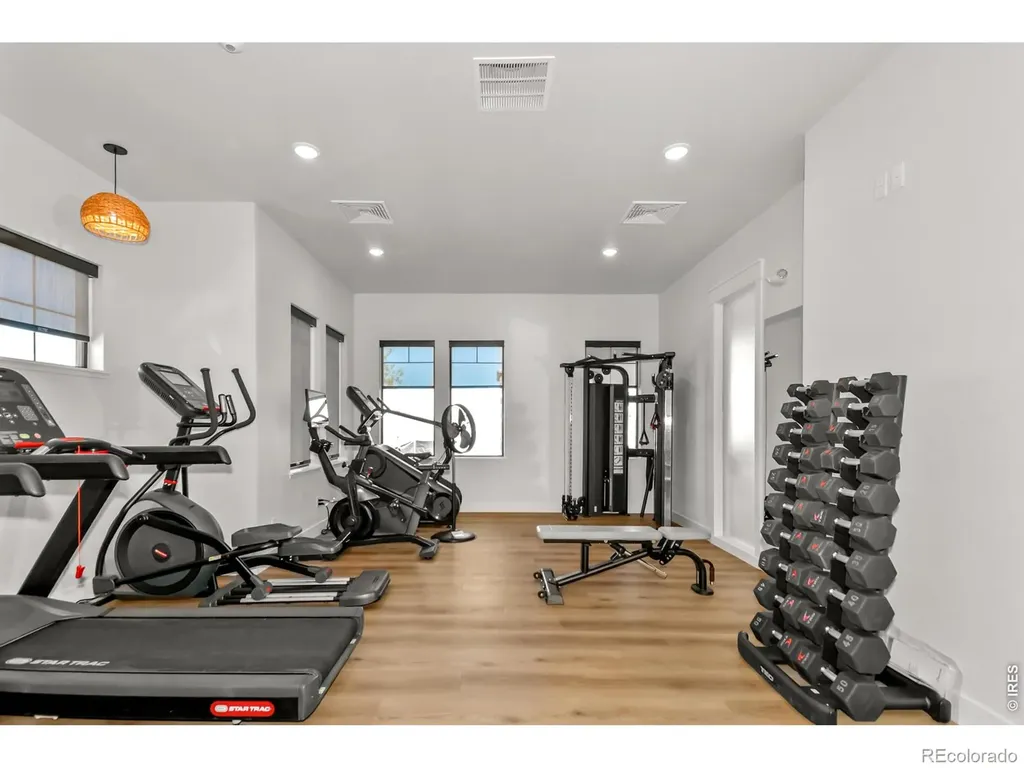 3425 Triano Creek Drive Loveland CO 80538