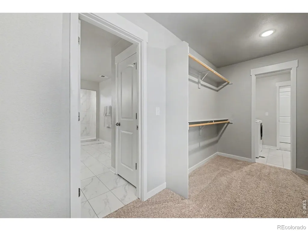 4490 Haymill Court Timnath CO 80547