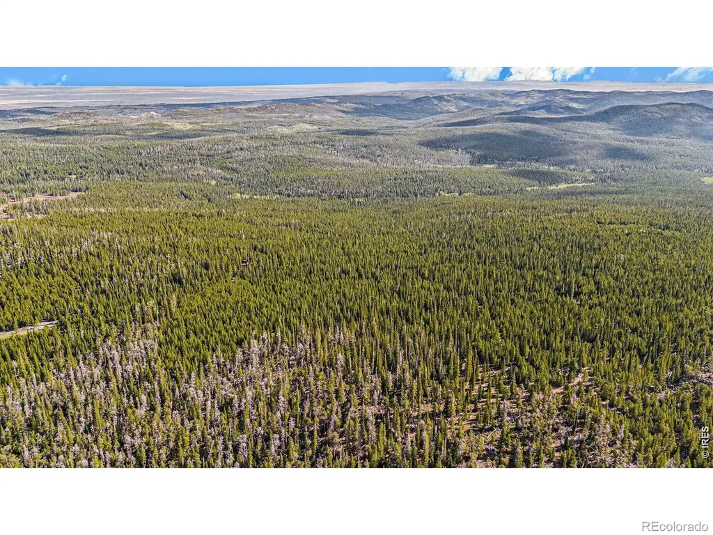 3765 Forest Road 195 Red Feather Lakes CO 80545