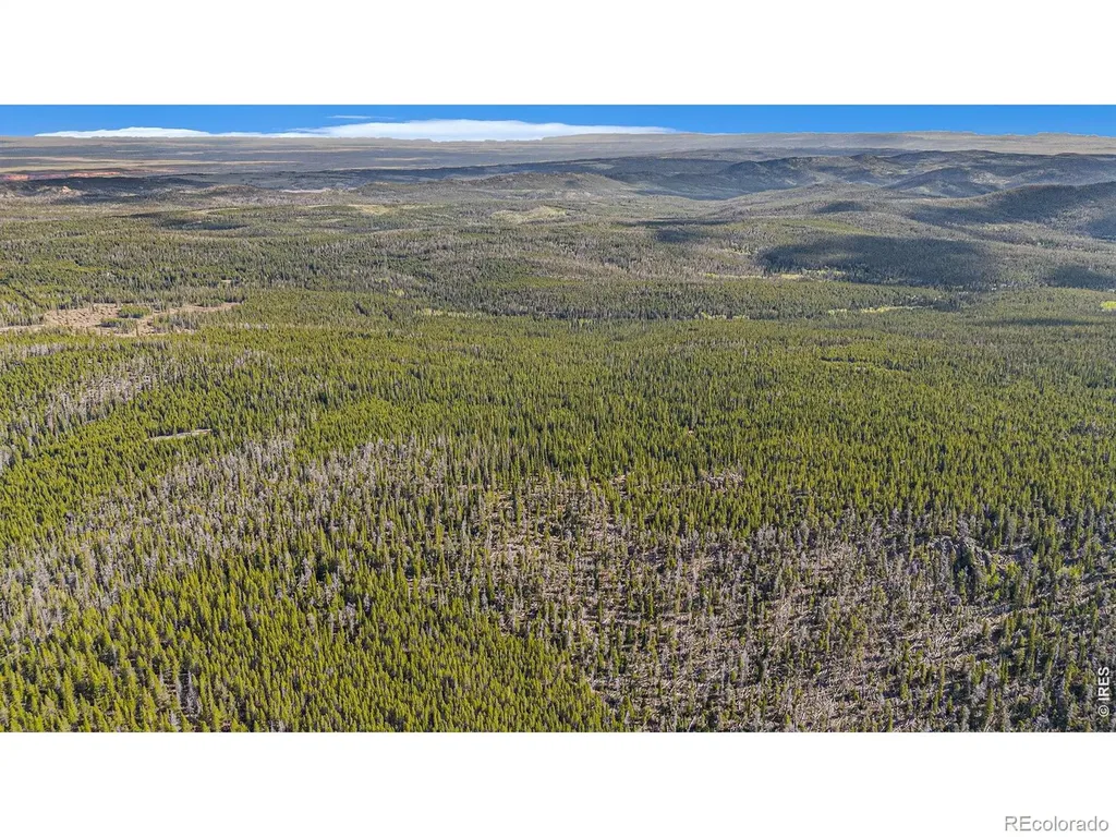 3765 Forest Road 195 Red Feather Lakes CO 80545