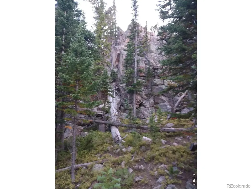 3765 Forest Road 195 Red Feather Lakes CO 80545