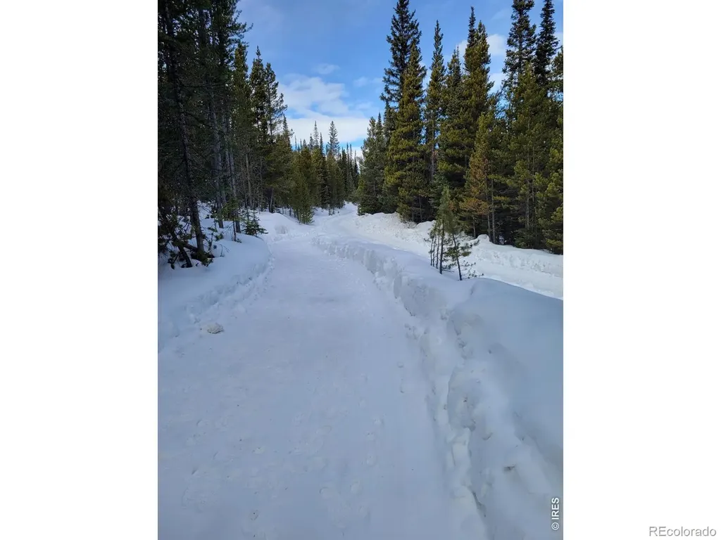 3765 Forest Road 195 Red Feather Lakes CO 80545