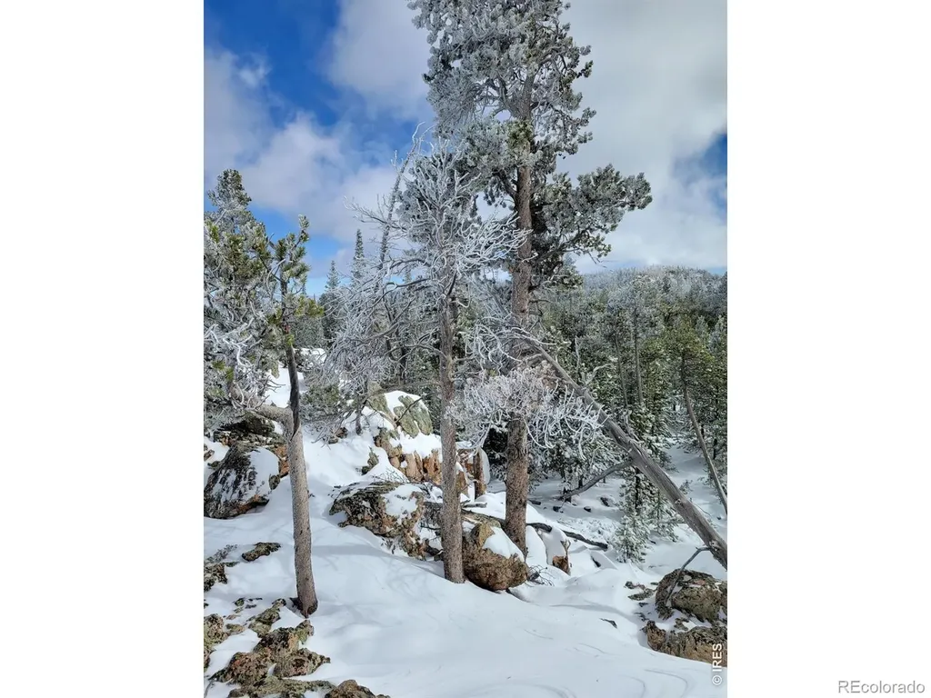 3765 Forest Road 195 Red Feather Lakes CO 80545
