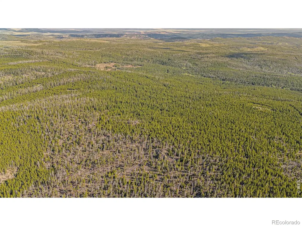 3765 Forest Road 195 Red Feather Lakes CO 80545