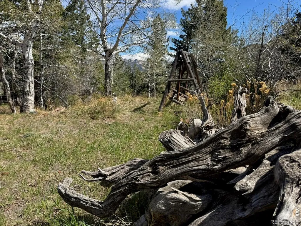 1241 Giant Track Road Estes Park CO 80517