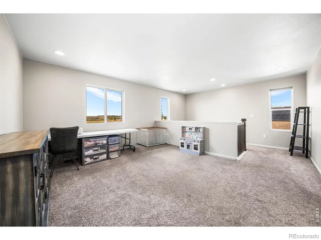 1637 Stoll Drive Windsor CO 80550