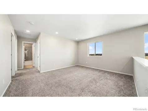 1637 Stoll Drive Windsor CO 80550
