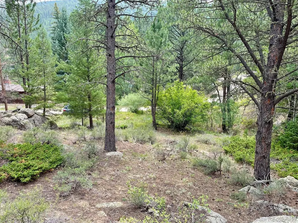 0 Hemlock Drive Lyons CO 80540