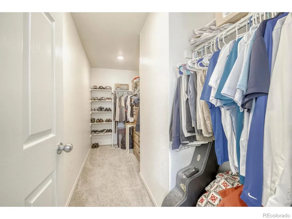 1690 Whiteley Drive Windsor CO 80550