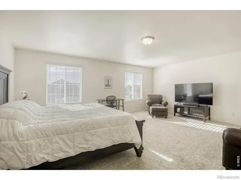 1690 Whiteley Drive Windsor CO 80550