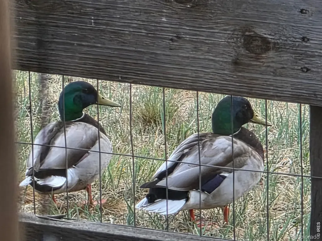 2017 Sicily Circle Longmont CO 80503