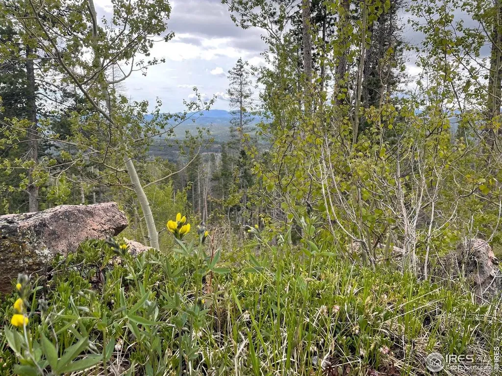 1374 Jicarilla Trail Red Feather Lakes CO 80545