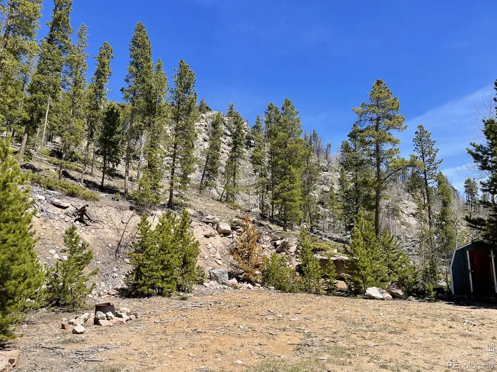 1374 Jicarilla Trail Red Feather Lakes CO 80545