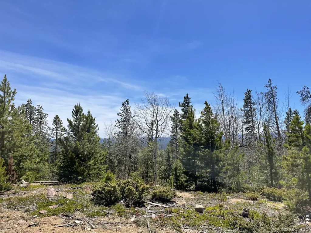 1374 Jicarilla Trail Red Feather Lakes CO 80545