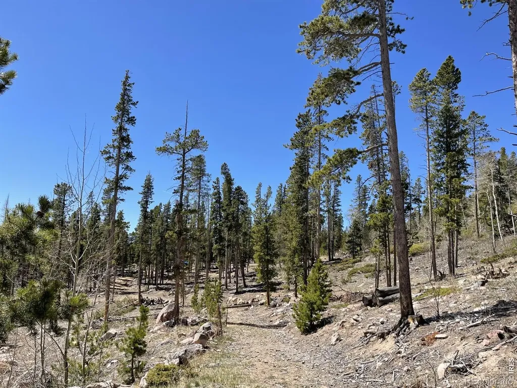 1374 Jicarilla Trail Red Feather Lakes CO 80545