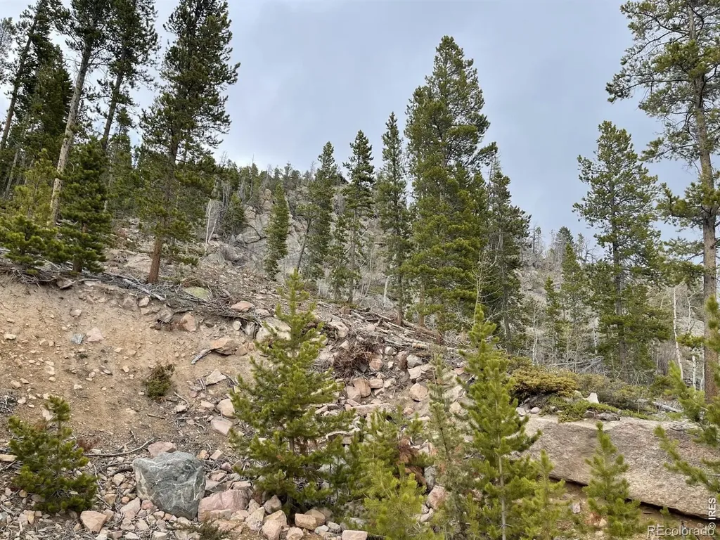 1374 Jicarilla Trail Red Feather Lakes CO 80545