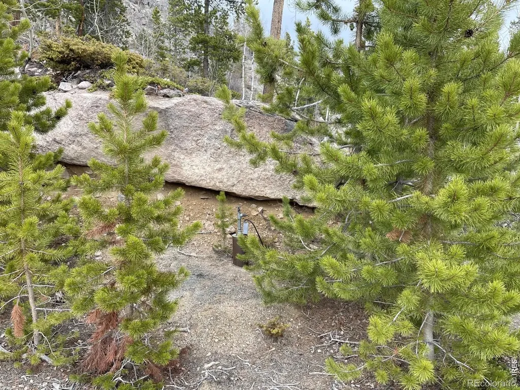 1374 Jicarilla Trail Red Feather Lakes CO 80545