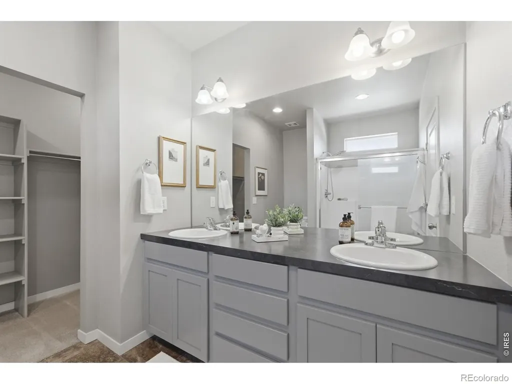 3928 River Birch Street Wellington CO 80549