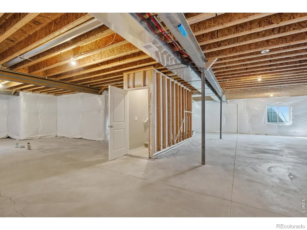 3928 River Birch Street Wellington CO 80549