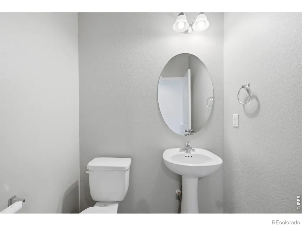 3928 River Birch Street Wellington CO 80549