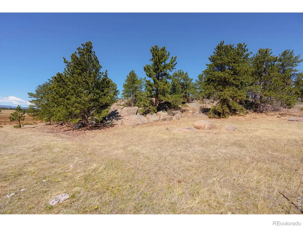 255 Elk Park Road Livermore CO 80536
