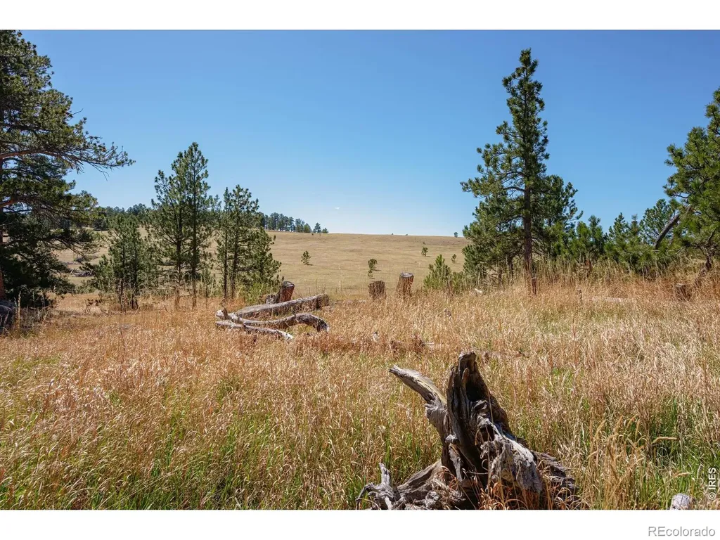 255 Elk Park Road Livermore CO 80536