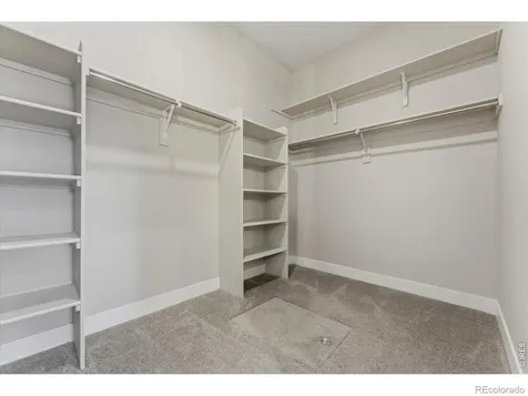 1768 Barefoot Drive Windsor CO 80550
