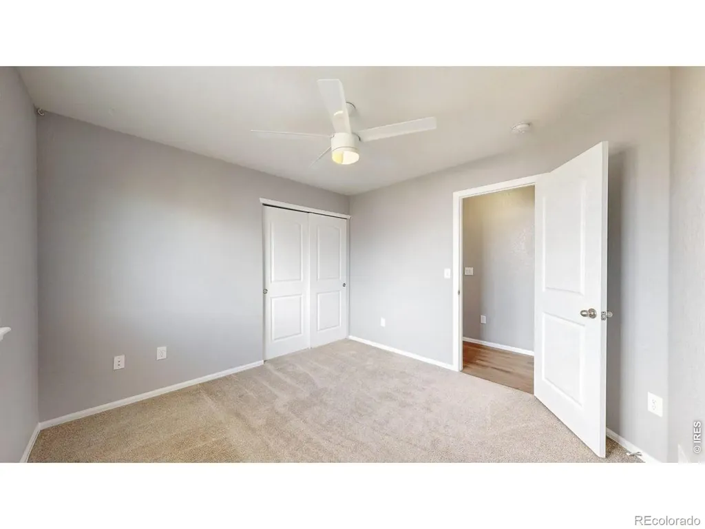 7383 Andover Street Wellington CO 80549