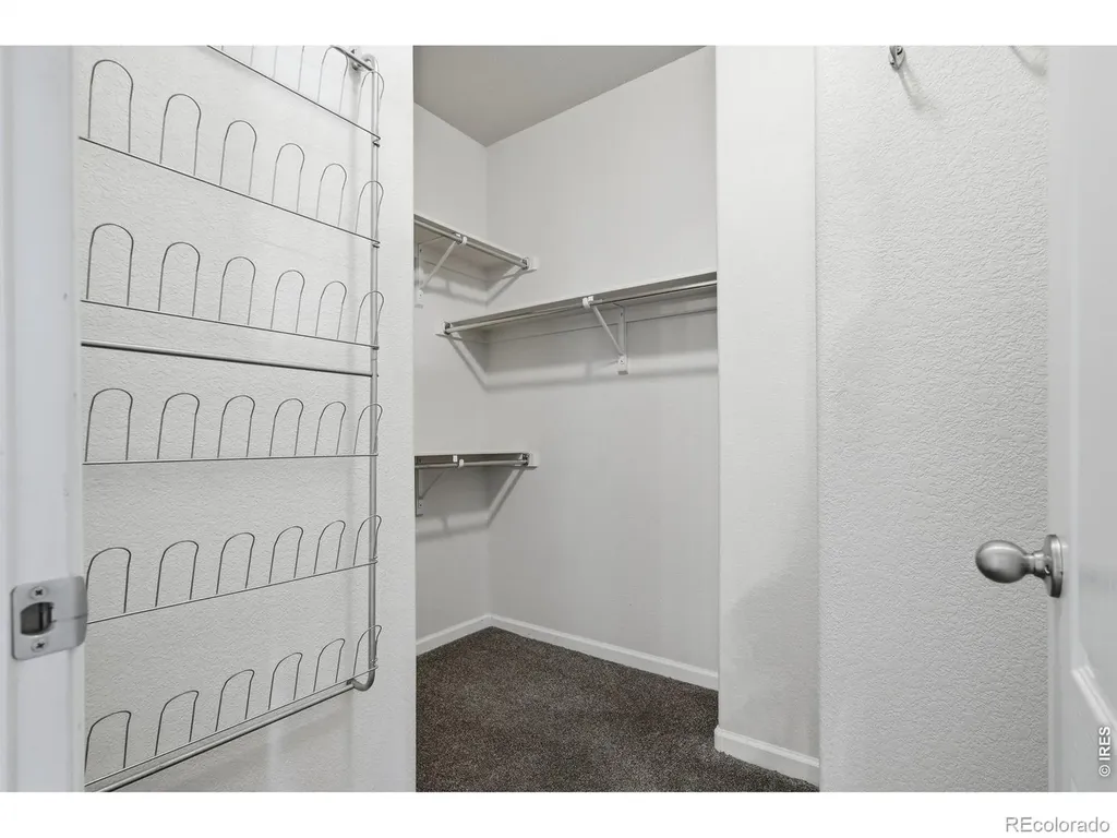 3302 Borrossa Street Evans CO 80634