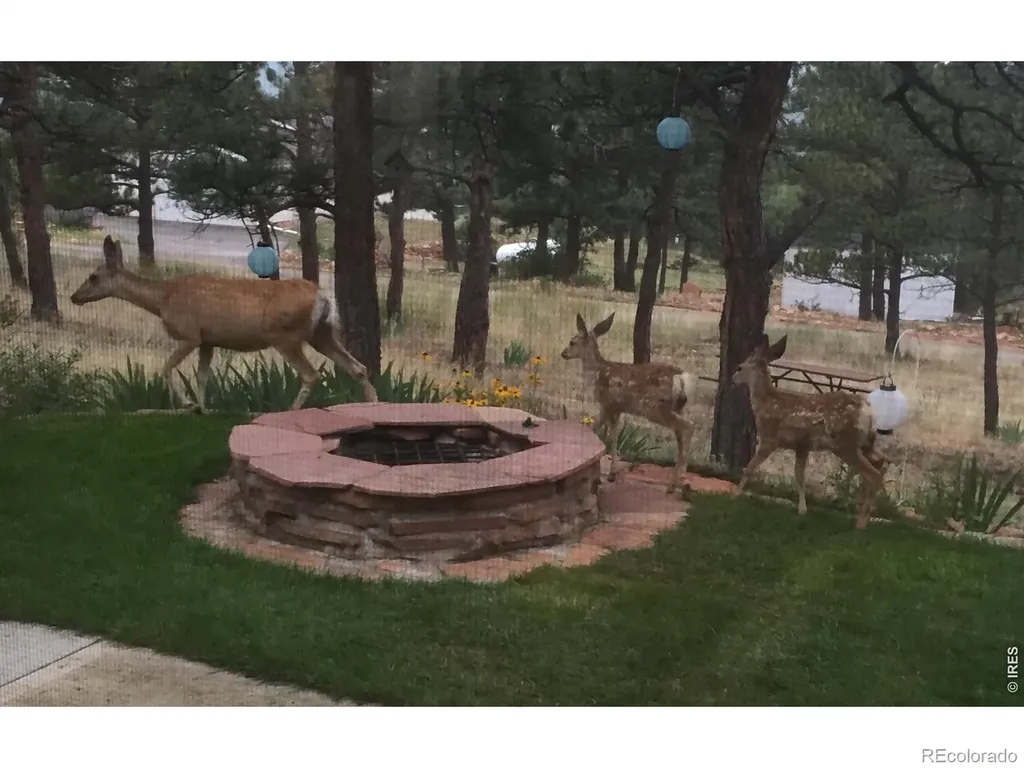 4000 Fawn Trail Loveland CO 80537