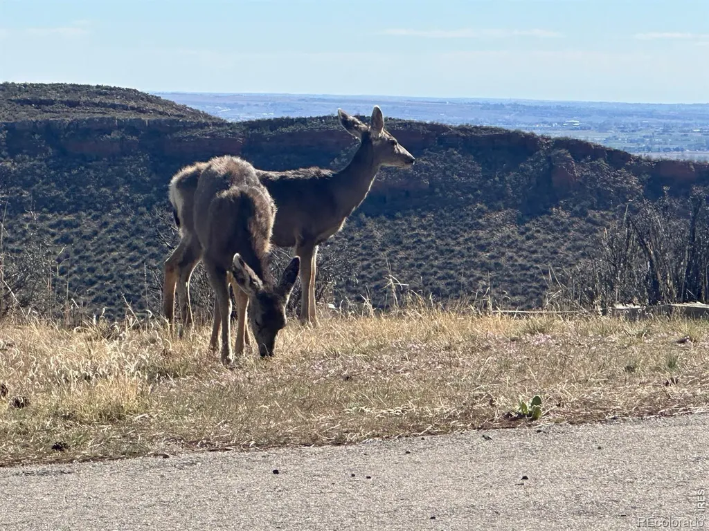 4000 Fawn Trail Loveland CO 80537