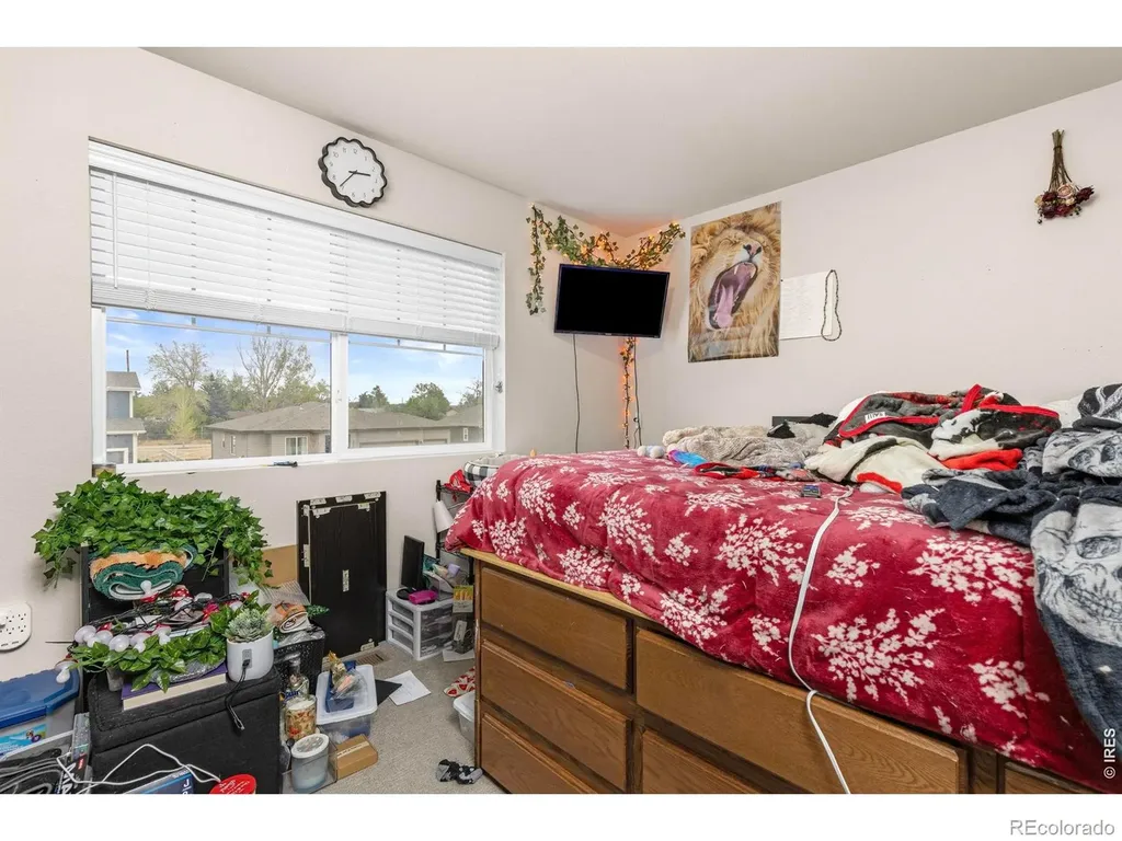 3801 Beech Tree Street Wellington CO 80549