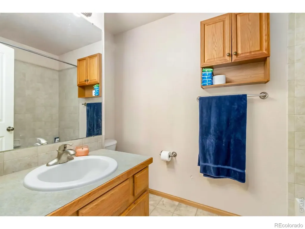 3211 White Buffalo Drive Wellington CO 80549