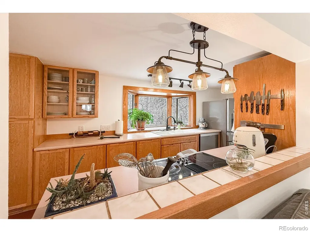 34 Cedar Drive Lyons CO 80540