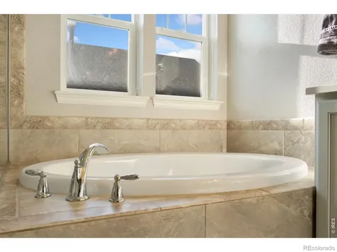 352 Baja Drive Windsor CO 80550