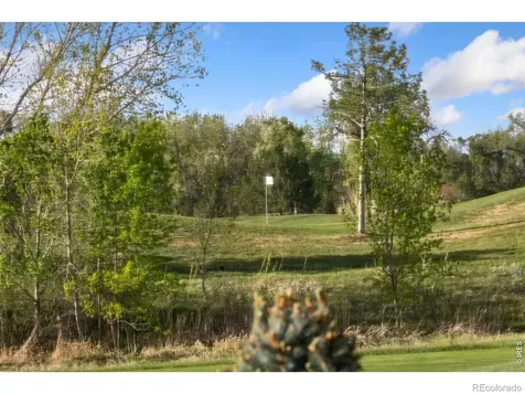 352 Baja Drive Windsor CO 80550
