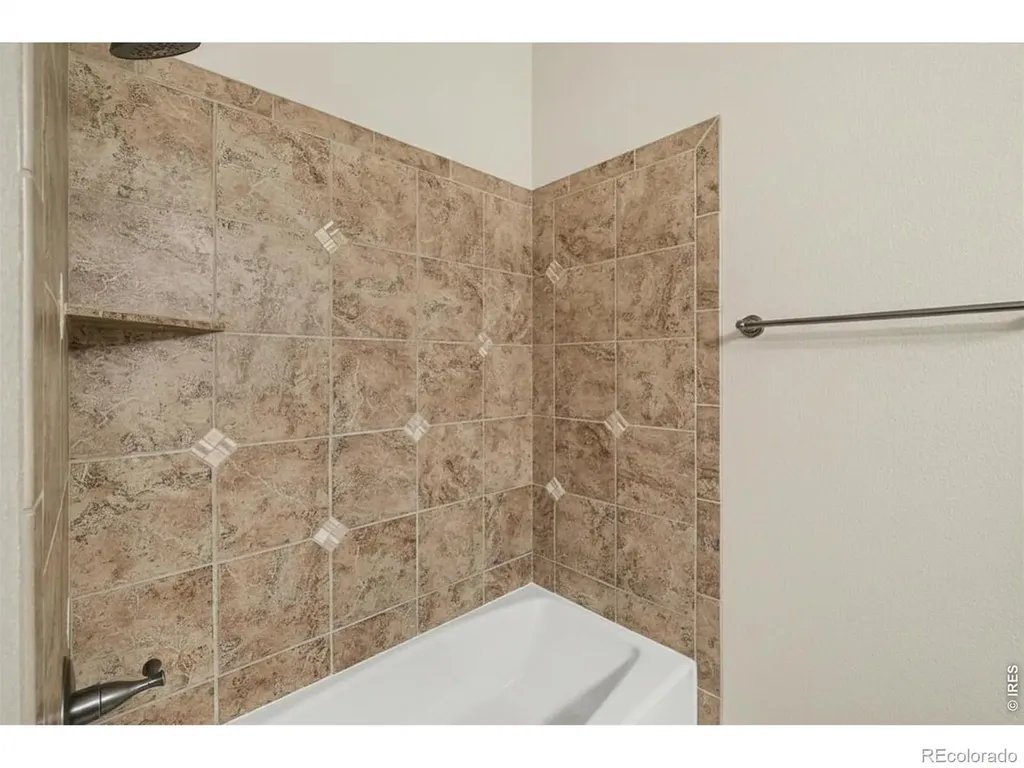 3628 Bidens Gate Drive Timnath CO 80547
