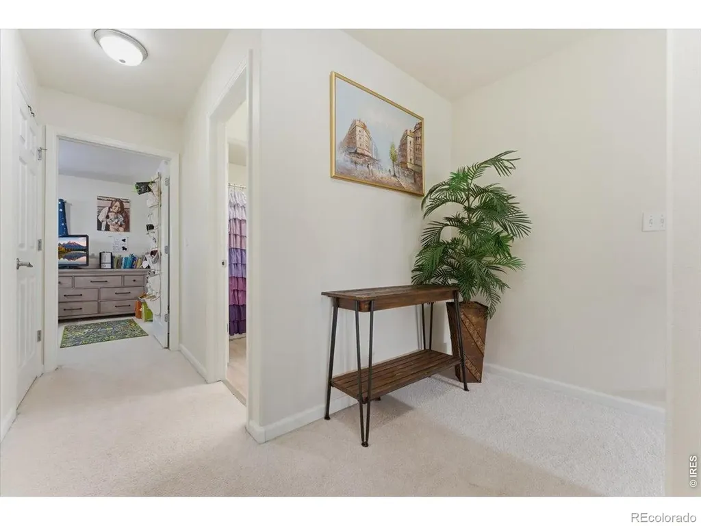 3329 Apple Blossom Lane Greeley CO 80634