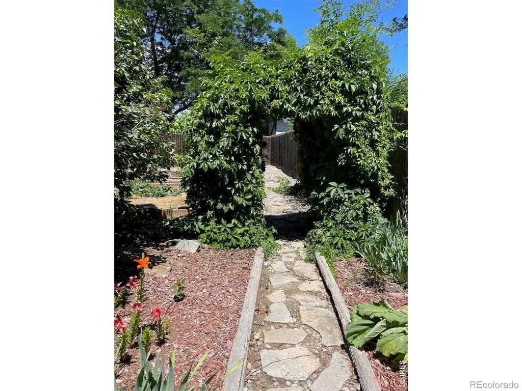 605 Jack Pine Place Loveland CO 80538