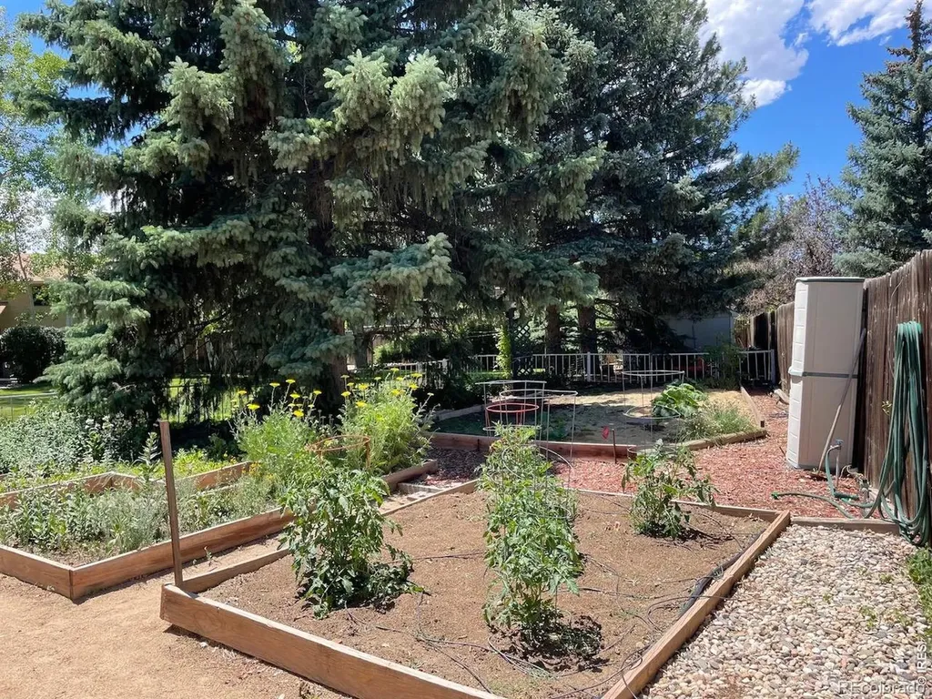 605 Jack Pine Place Loveland CO 80538